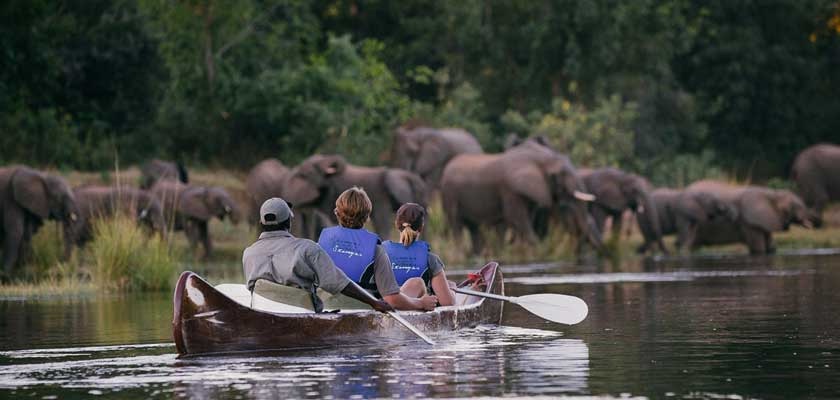 Canoeing Safaris