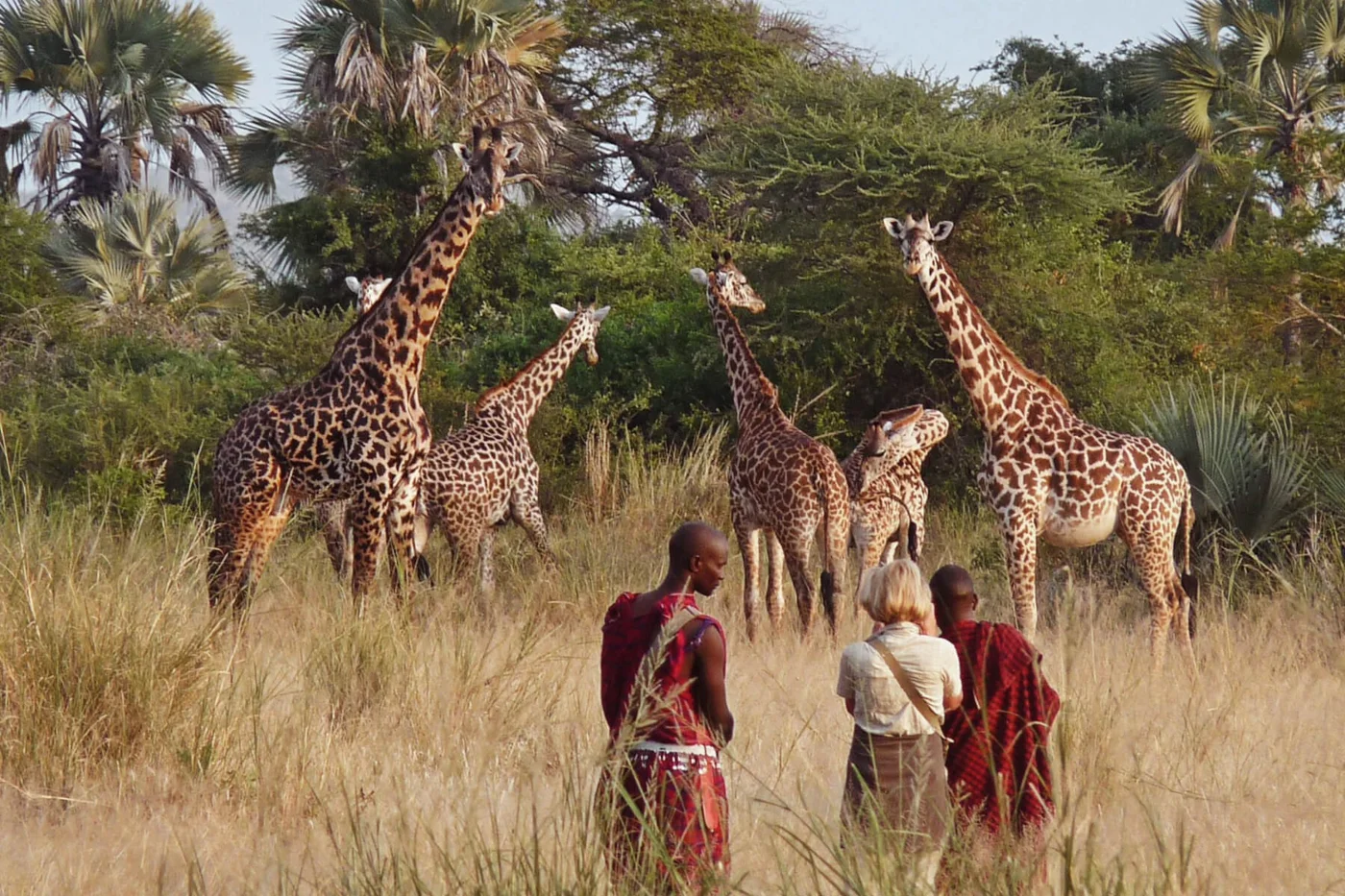 Arusha National Park Private Walking Safari