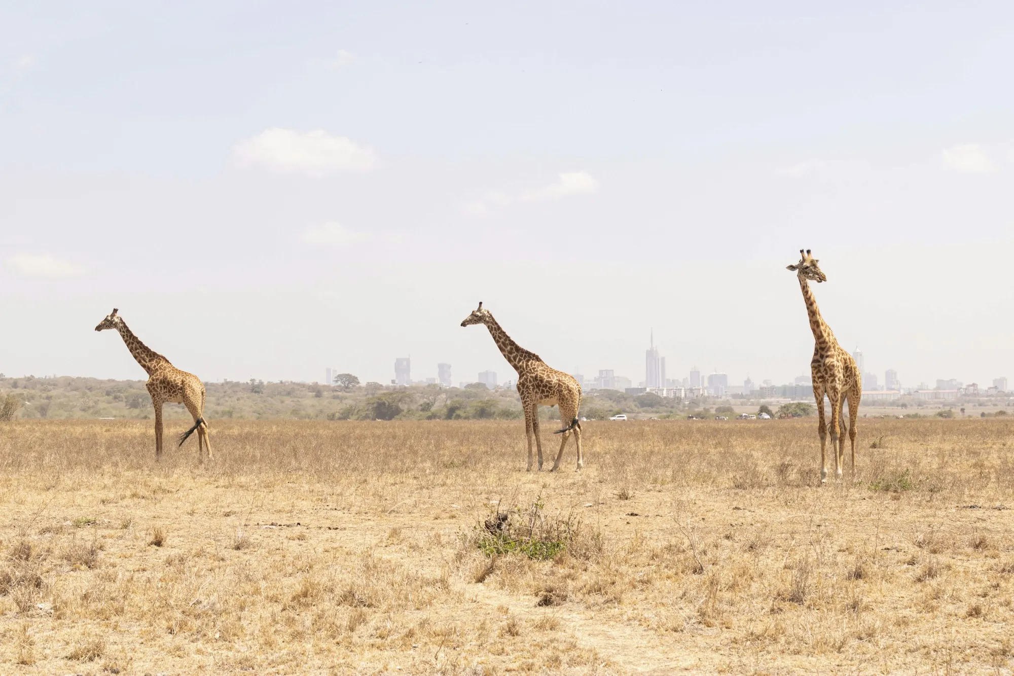 Nairobi