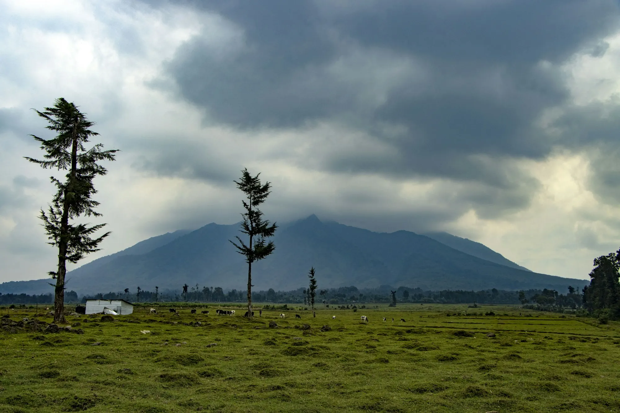 Volcanoes National Park