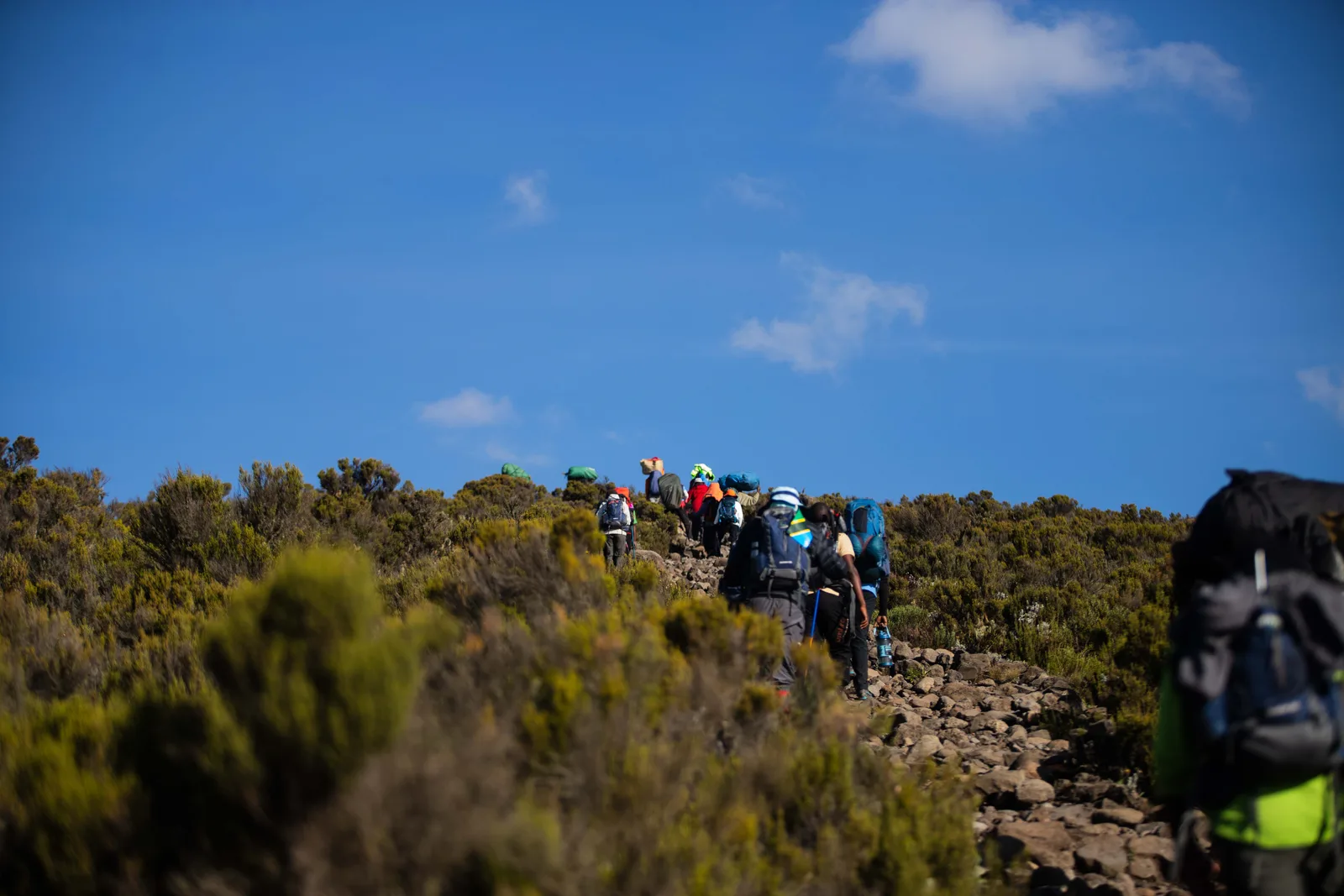 Kilimanjaro — Lemosho